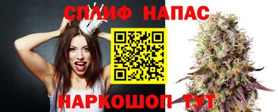 шишки Кохма