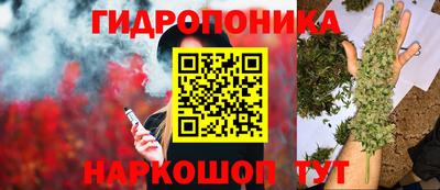 МДПВ Красноармейск