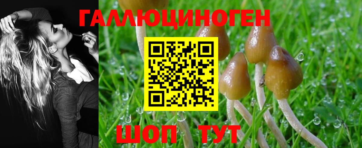 Белорецк  Галлюциногенные грибы мухоморы  Вход с VPN 